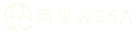 安全加速