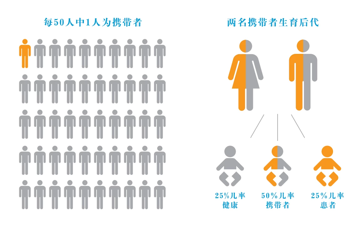 什么是脊髓性肌萎缩症（SMA）